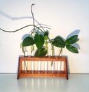 Duck Mannor - Plant Propagation Station