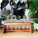 Duck Mannor - Plant Propagation Station