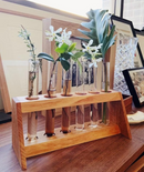 Duck Mannor - Plant Propagation Station