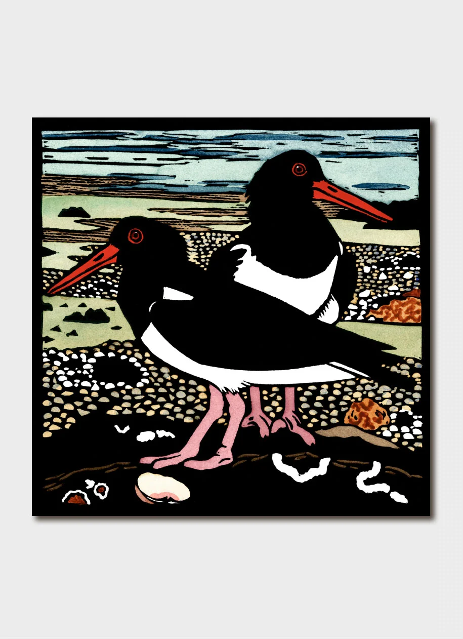 Kit Hiller Two Oyster Catchers Greeting Card Tasmanian Gourmet Online