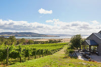 Bremley Vineyard ( Coal River Valley)
