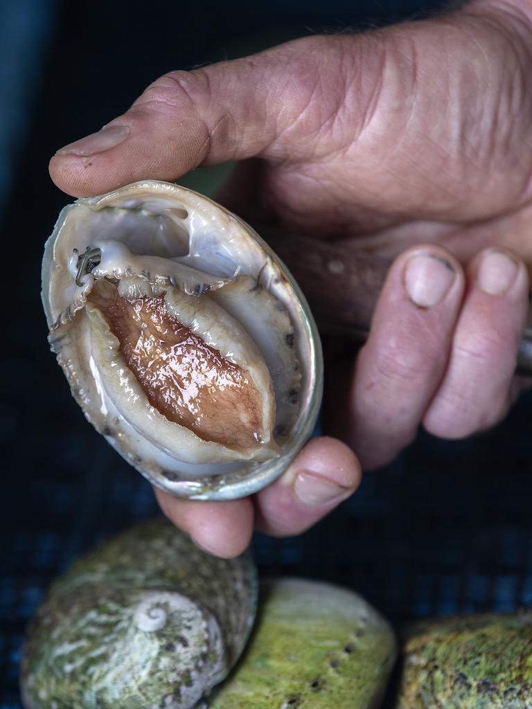 Three Friends Premium Abalone - 213g