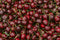 Tasmanian Cherries - Large (30-32mm)