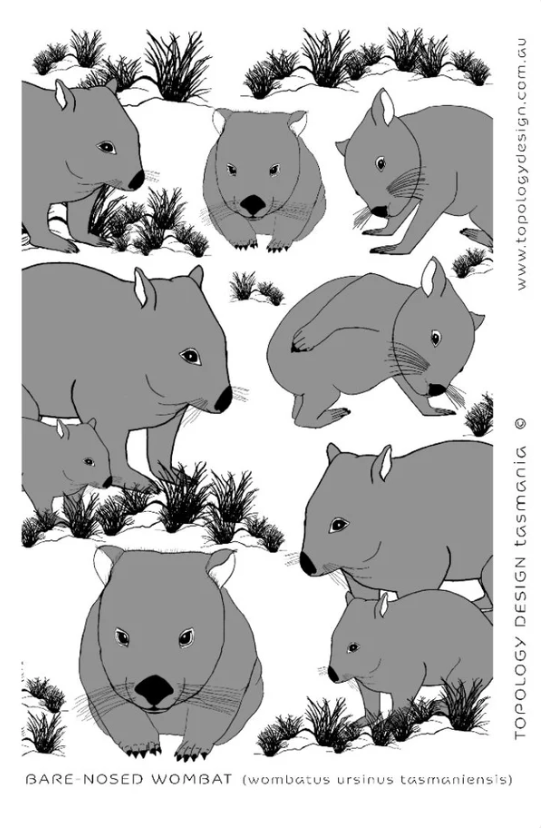 Bare - nose Wombat Tea Towel
