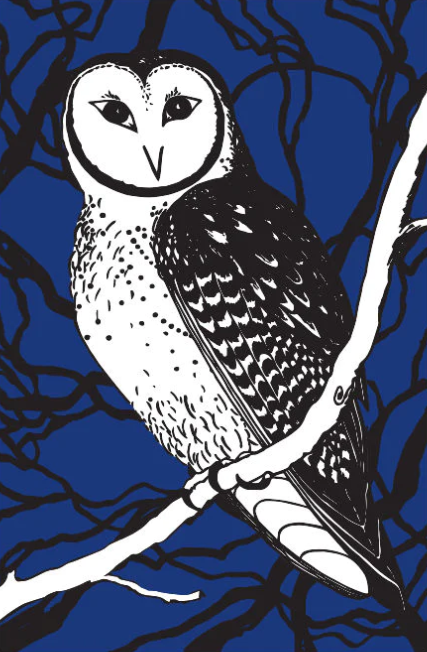 Blue Masked Owl Tea Towel