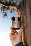 BeeYumi - Honey Blend Collection