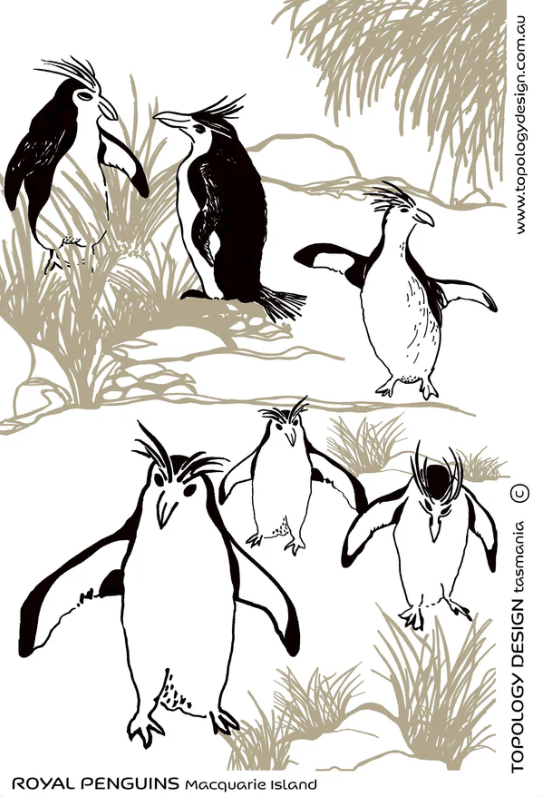 Royal Penguins Tea Towel