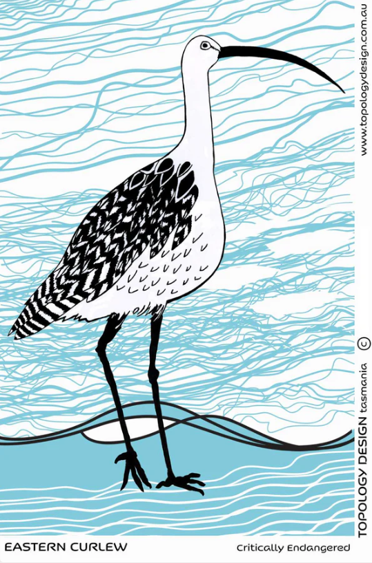 Eastern Curlew Tea Towel