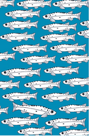 Galaxias Fish Tea Towel