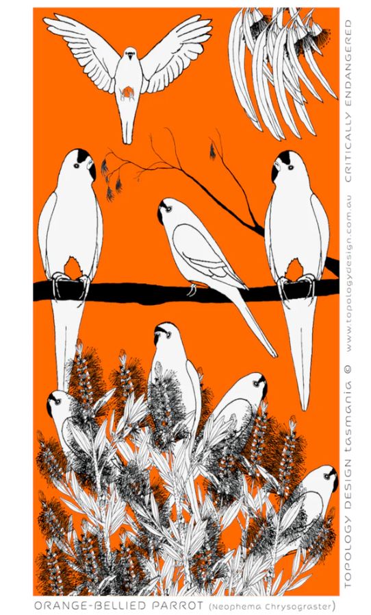 Orange - bellied Parrot Tea Towel