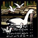 Kit Hiller – Pelican & Silver Gulls - Greeting Card