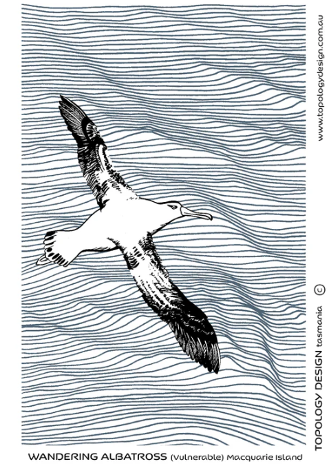 Wandering Albatross Tea Towel