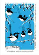 Superb Fairy - Wren Tea Towel