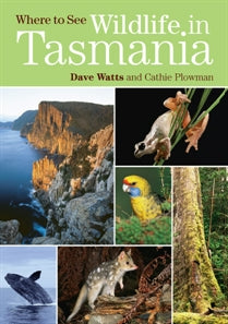 Where To See Wildlife in Tasmania