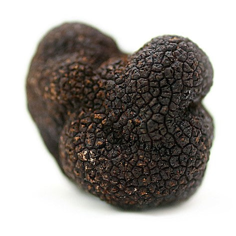 Tasmanian Truffles Extra Grade - Tasmanian Gourmet Online