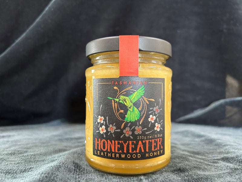 Tasmanian Honeyeater- Leatherwood