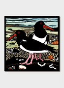 Kit Hiller – Two Oyster Catchers- Greeting Card