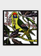 Kit Hiller – Green Rosella- Greeting Card