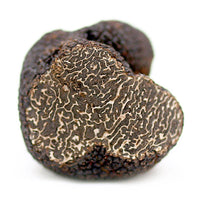 Perigord Truffles of Tasmania
