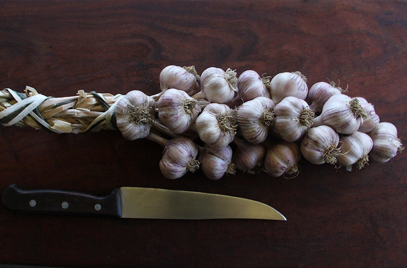 Tasmanian Garlic Braid - Tasmanian Gourmet Online