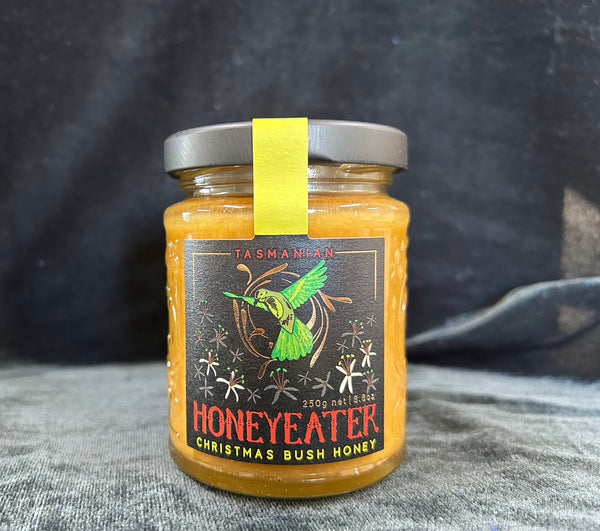 Tasmanian Honeyeater- Christmas Bush